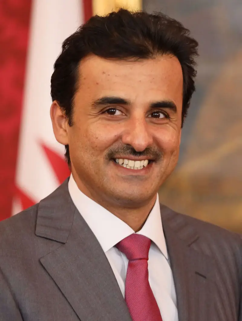 Tamim bin Hamad Al Thani, Amir